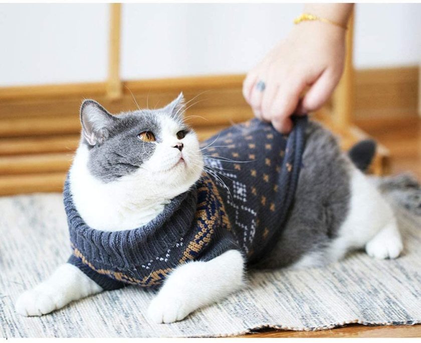 Evursua Cat Clothes Sweater for Kitten Small Dogs, Cats Winter Knit Clothing Warm Soft and High Stretch, fit Pet Male Female