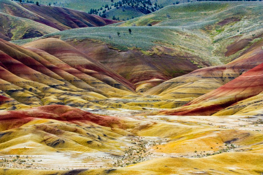 Edge of yellow and red painted hills against green rolling hills in John Day National Park