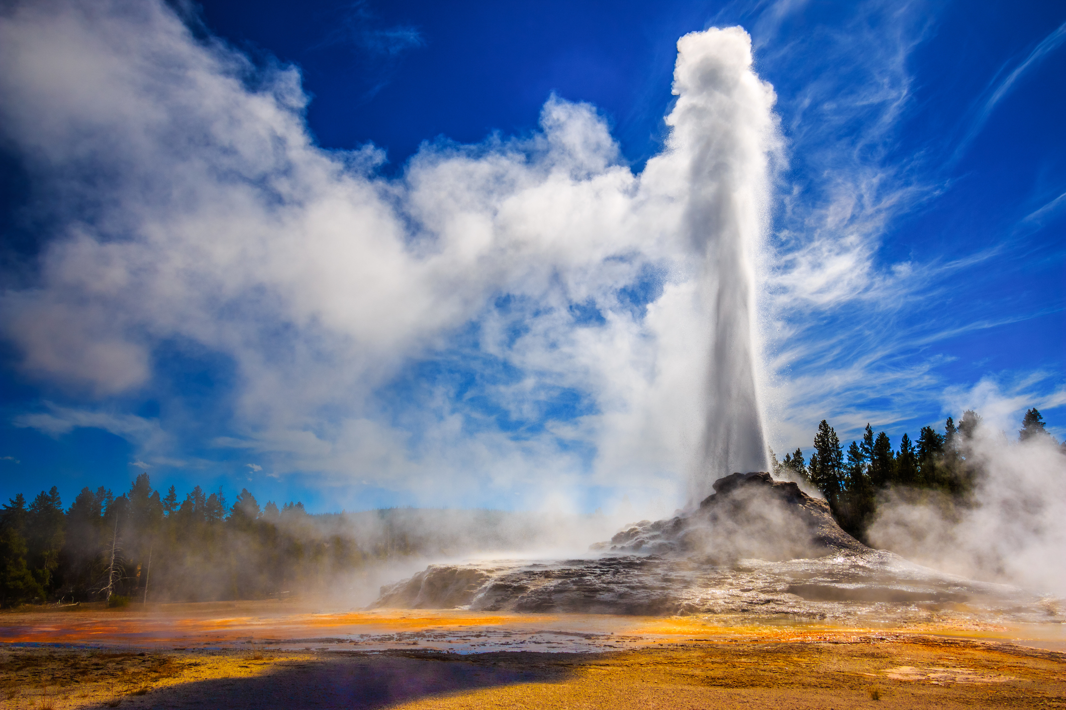 Yellowstone National Park is the original national park.