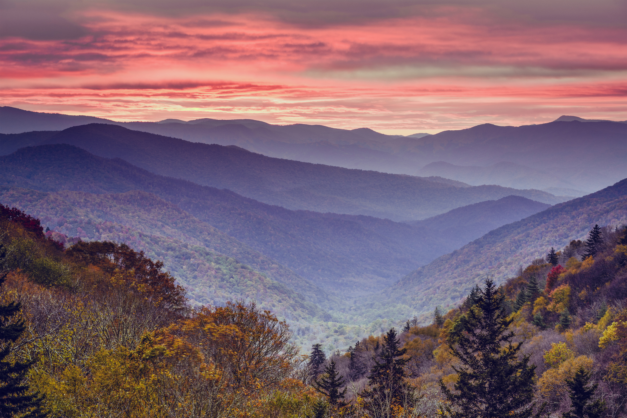 Smoky Mountains National Park is one of the top 10 most visited national parks in the U.S.