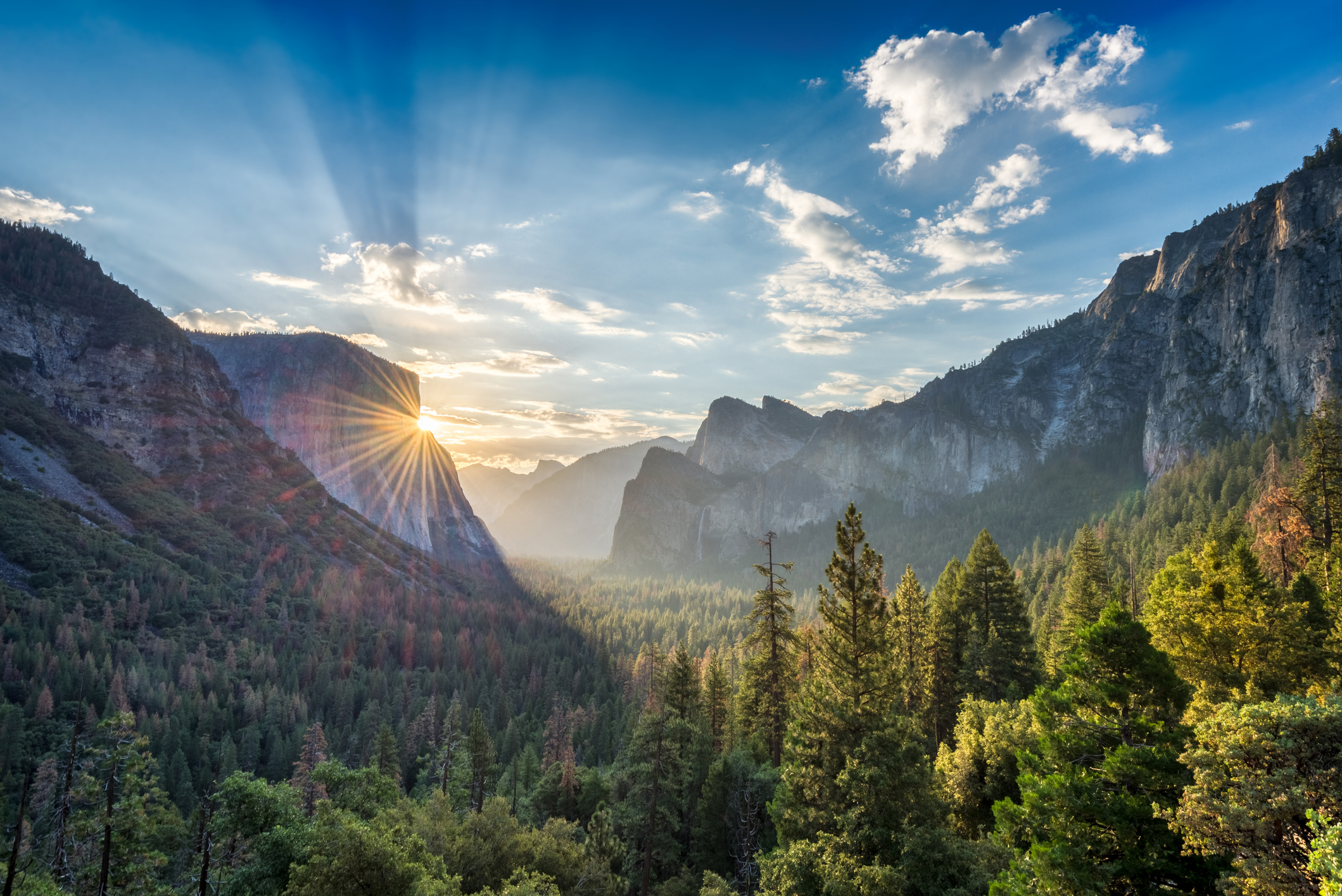 Yosemite National Park is one of the top 10 most visited national parks in the U.S.