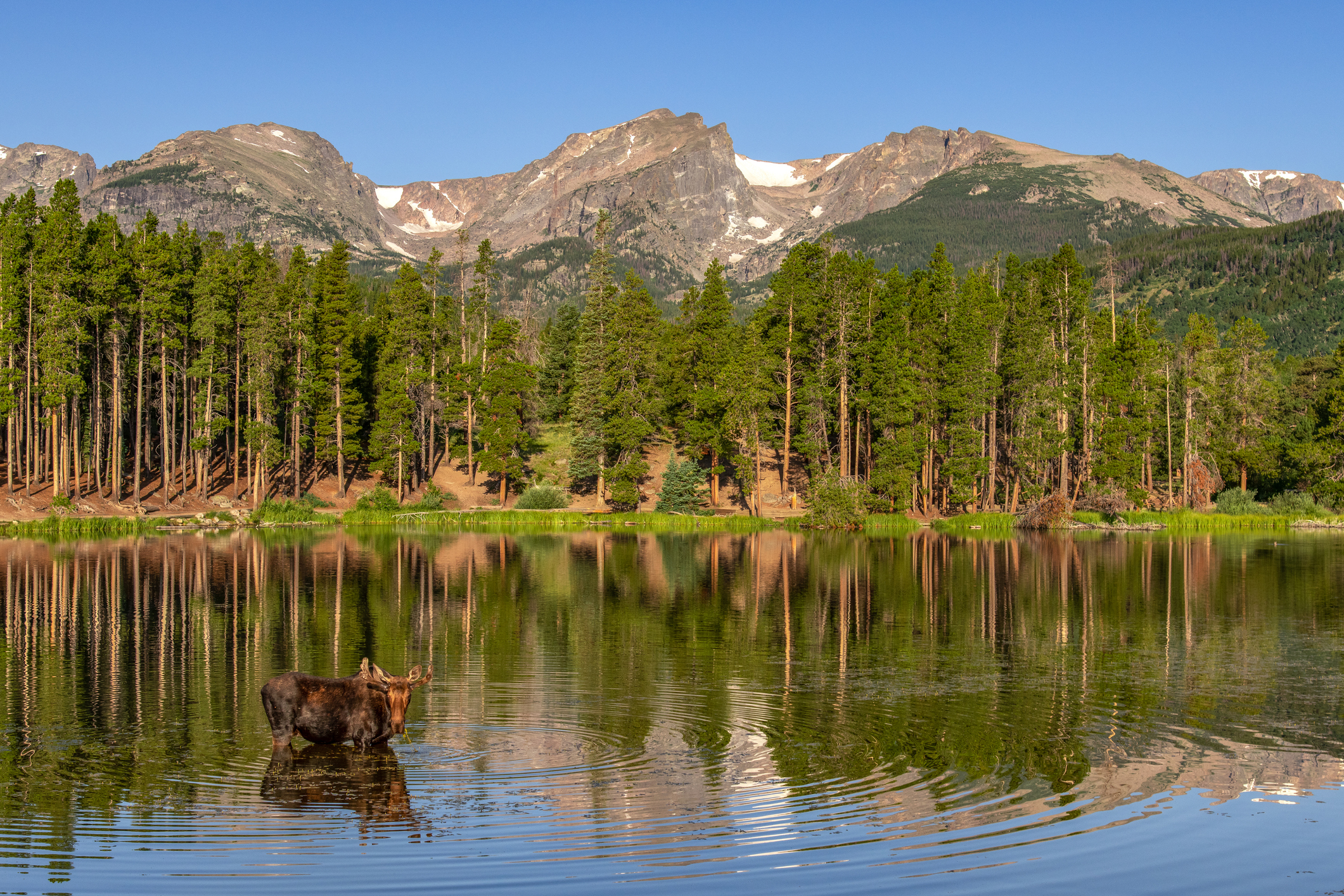 Rocky Mountain National Park offer unique and pristine high alpine landscape to visit.