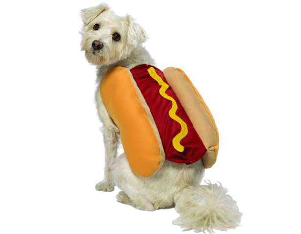 Hot Dog Costume