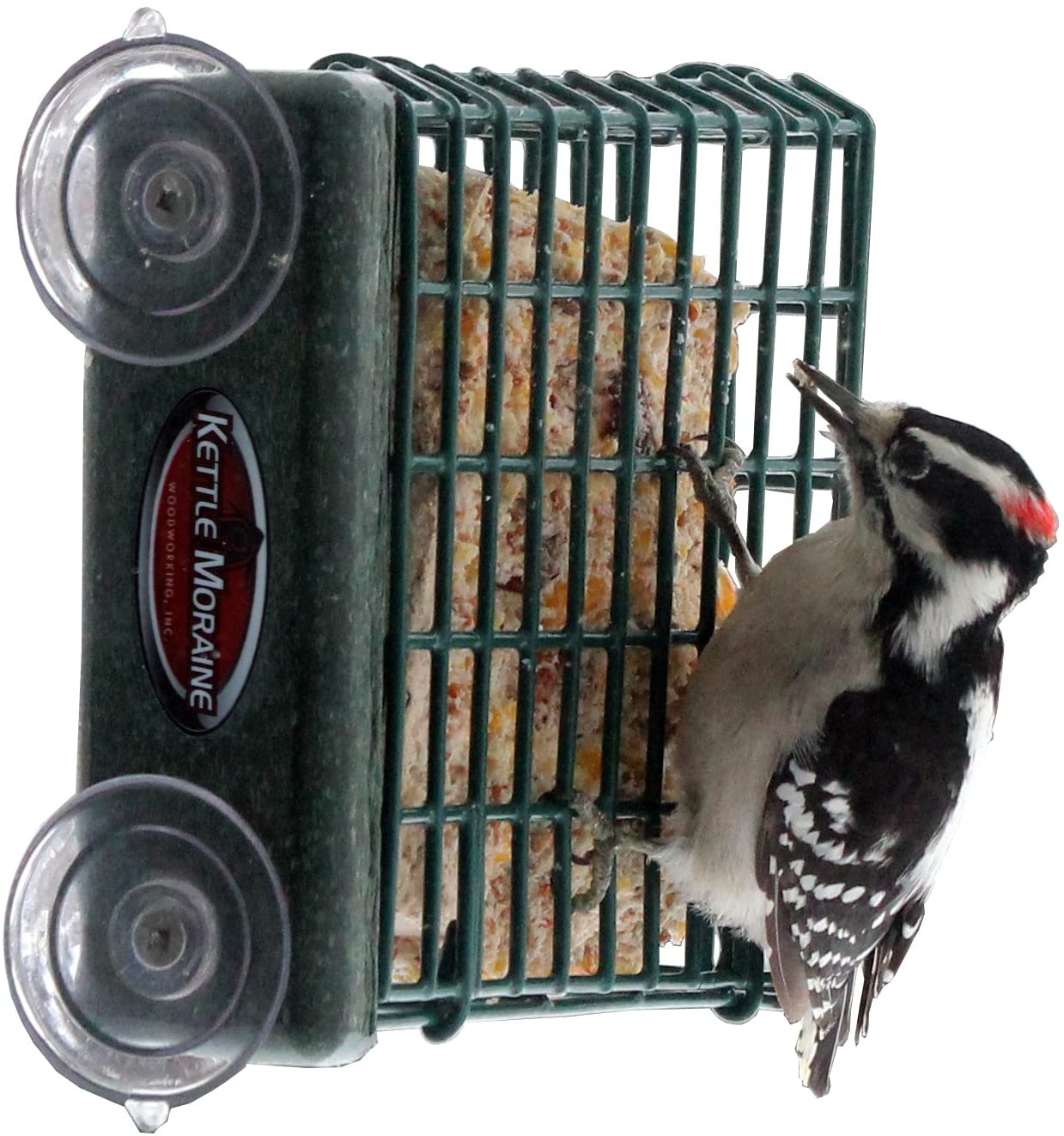 Kettle Moraine Window Mount Single Suet Cake Woodpecker Bird Feeder