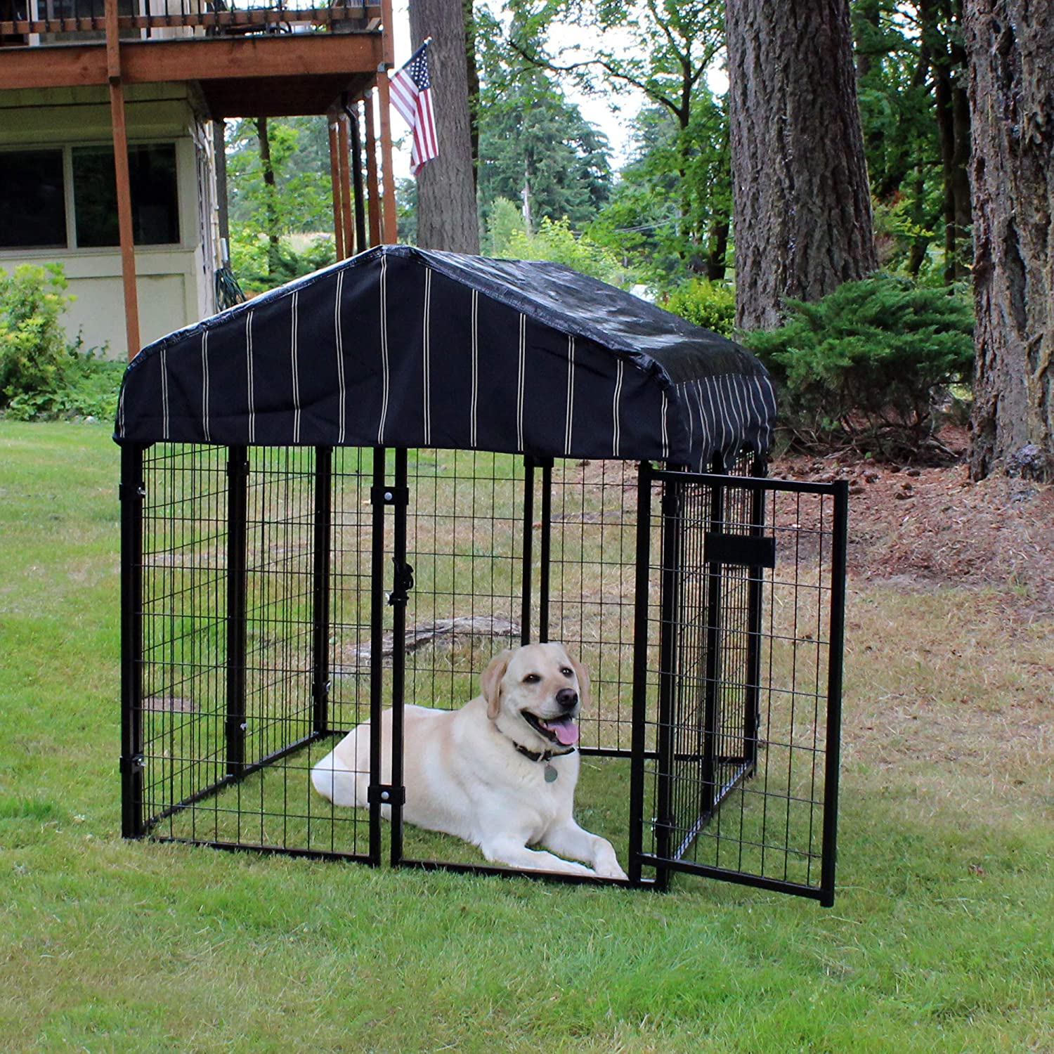 lucky dog kennel