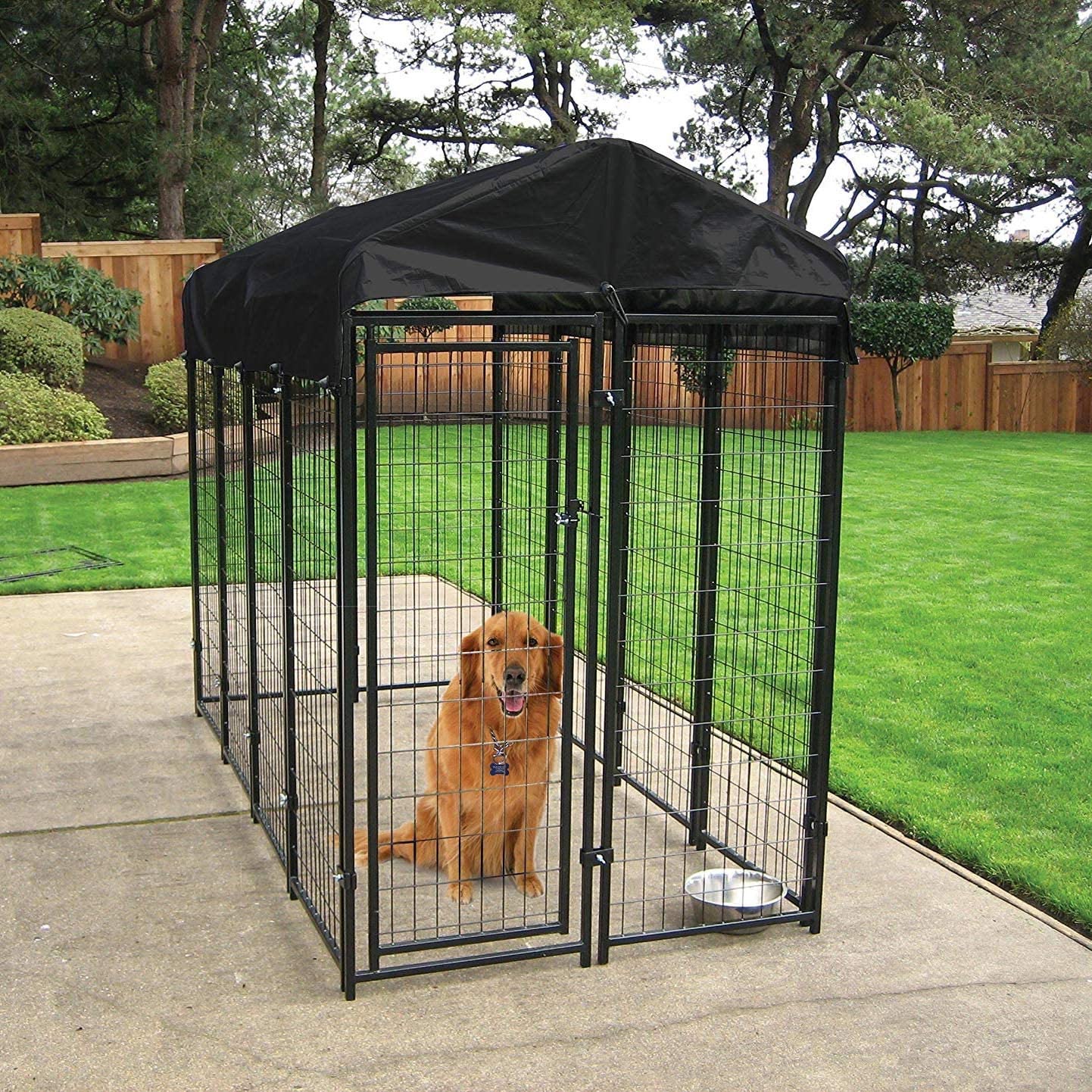 lucky dog kennel