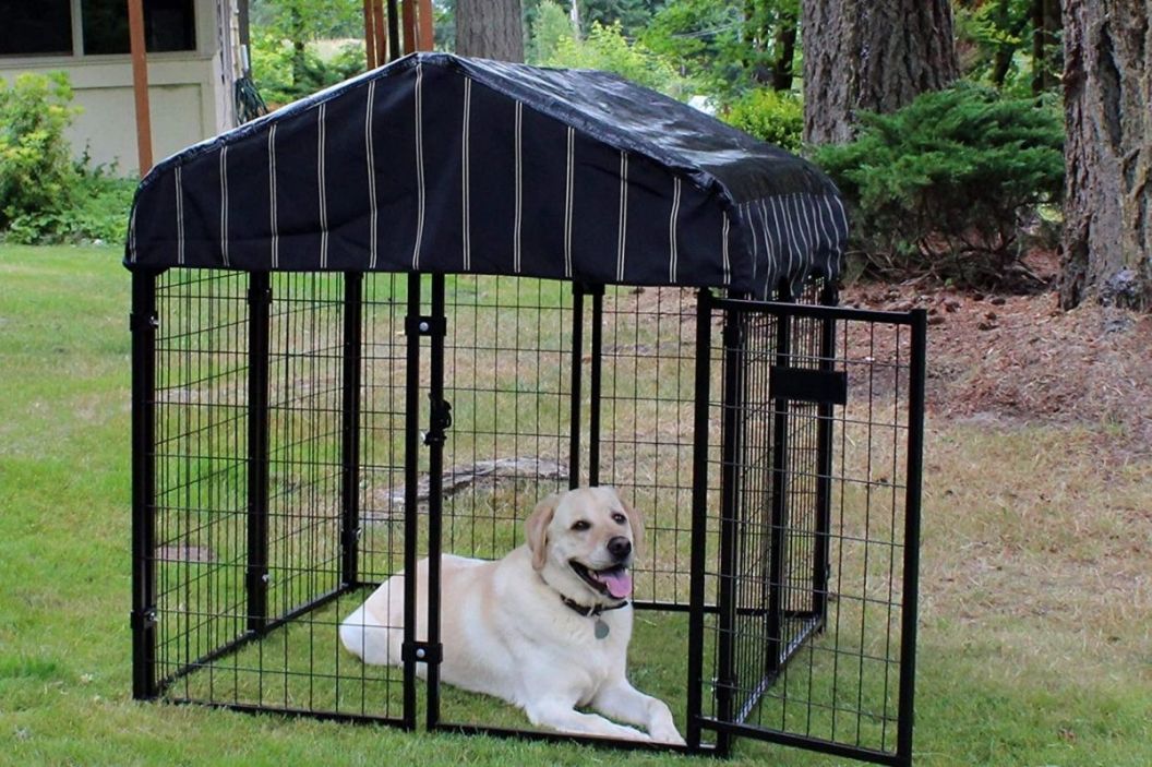 Lucky Dog Kennel 5 Best of 2021 (Keep Outdoor Dogs Safe at Home)