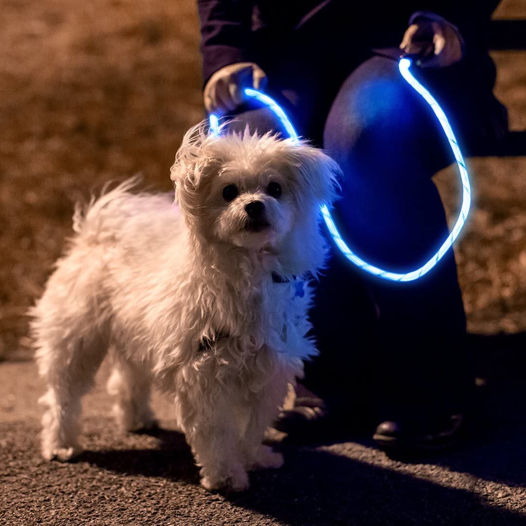 NiteyLeash - LED Glow in The Dark Pet Dog Leash