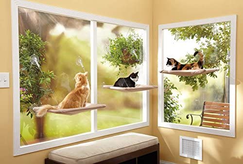 cat window perch