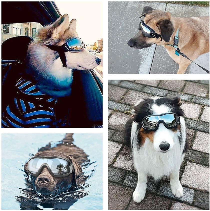 PEDOMUS sunglasses for dogs