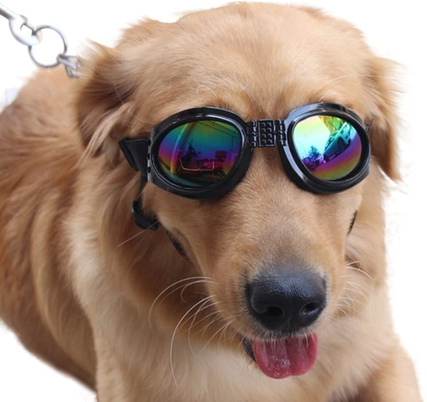 QUMY sunglasses for dogs