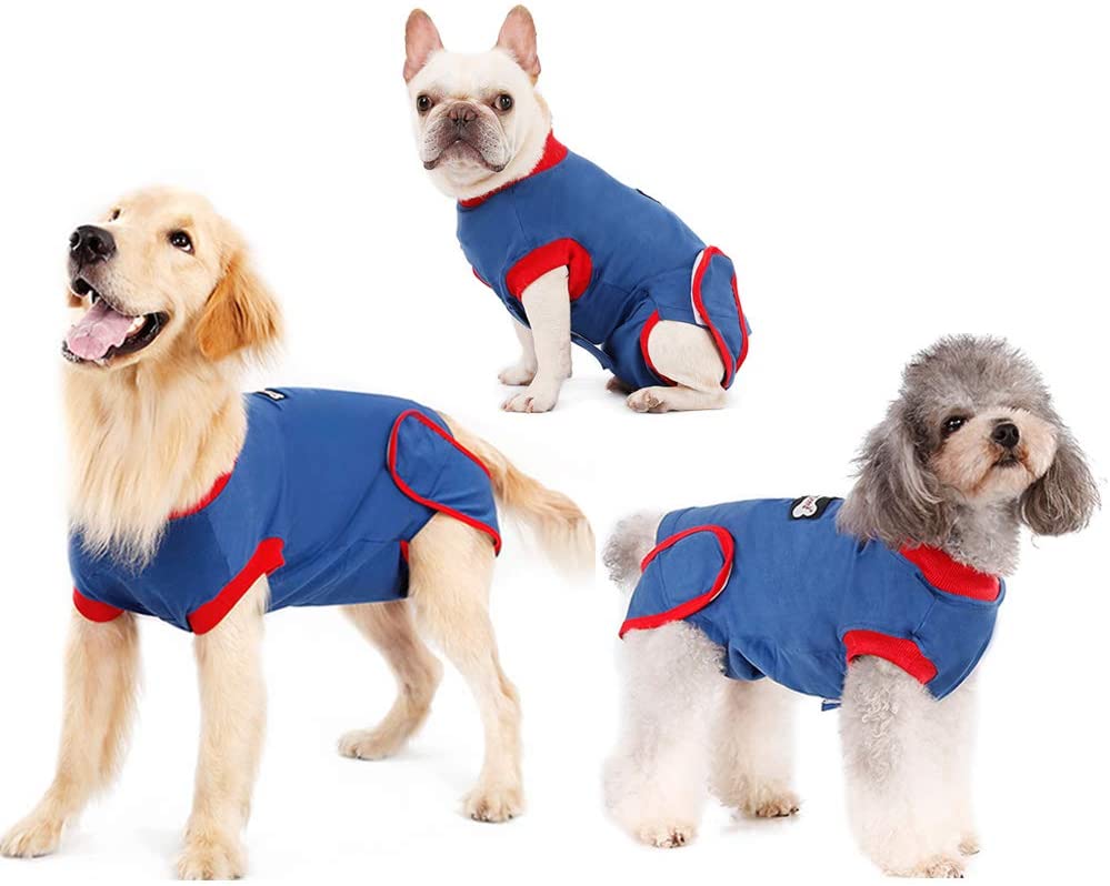 dog onesie