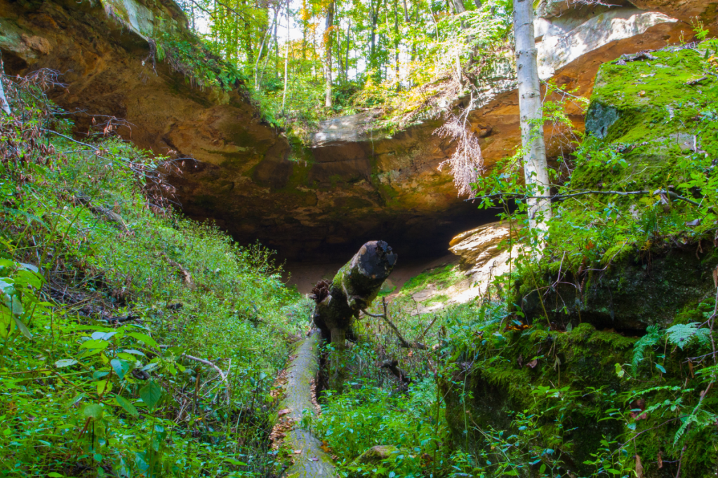 Salt Fork State Park Answering FAQs of Ohio's Sprawling Oasis