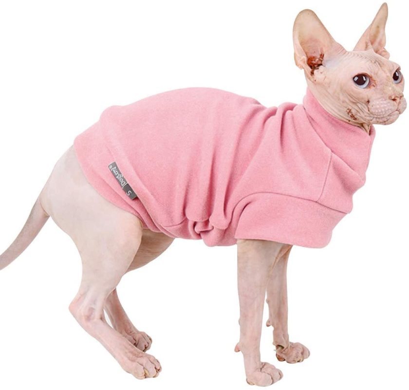 Cat wearing pink sweater