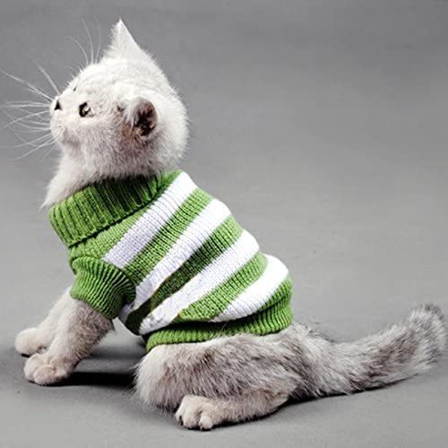 cat sweater