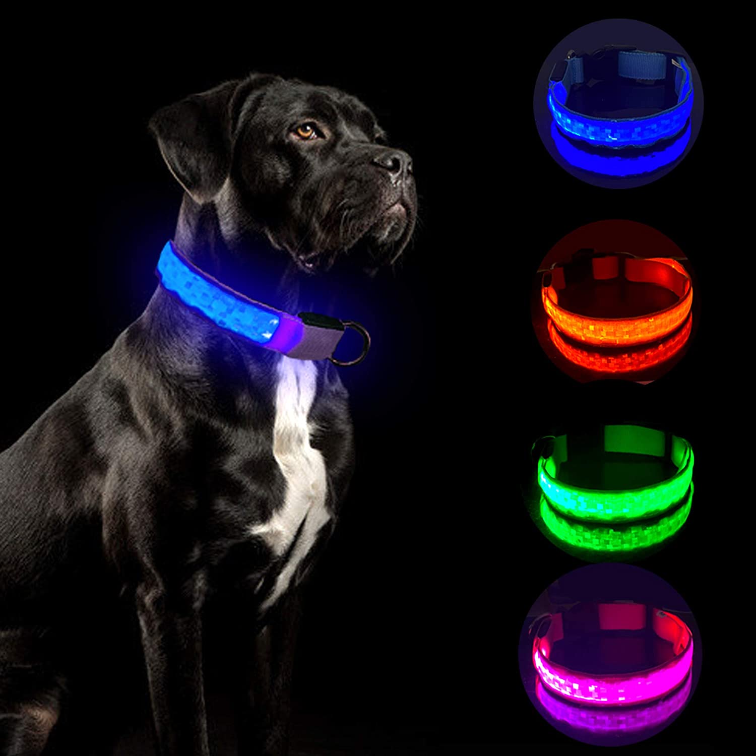 Tekkery Light Up Dog Collar, Glowing Pet Dog Collar for Night Safety with USB Rechargeable Super Bright LED Dog Flashing Collar for Small Medium Large Dogs