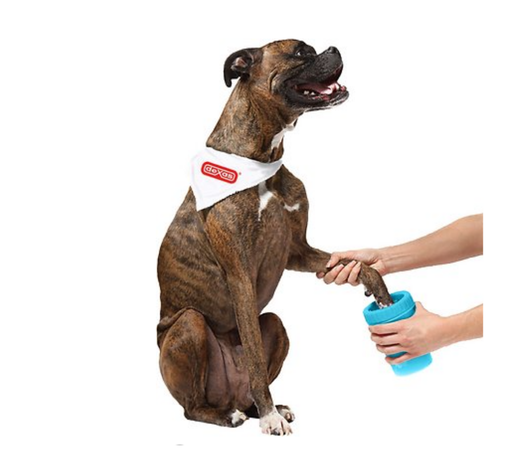 paw cleaner for dogs