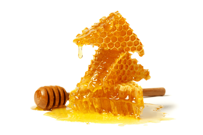 can dogs eat honey?