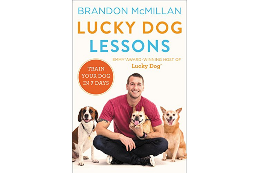 dog training books