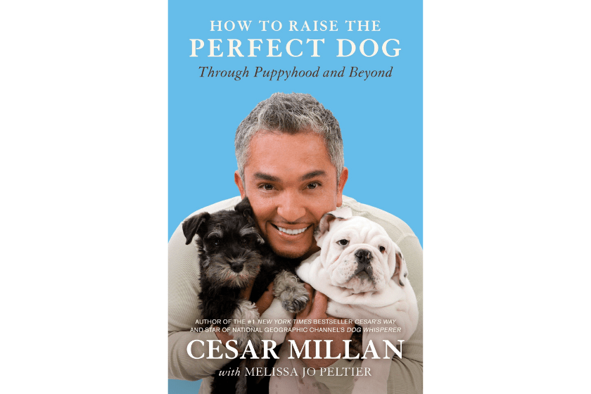 dog training books