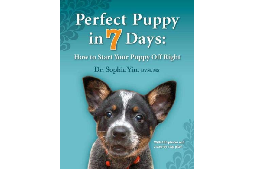 dog training books