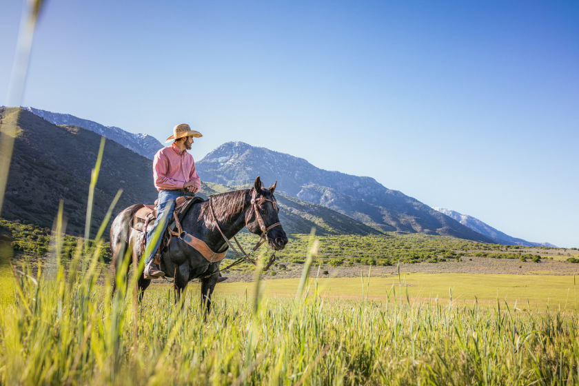 rider astride dark horse with mountains