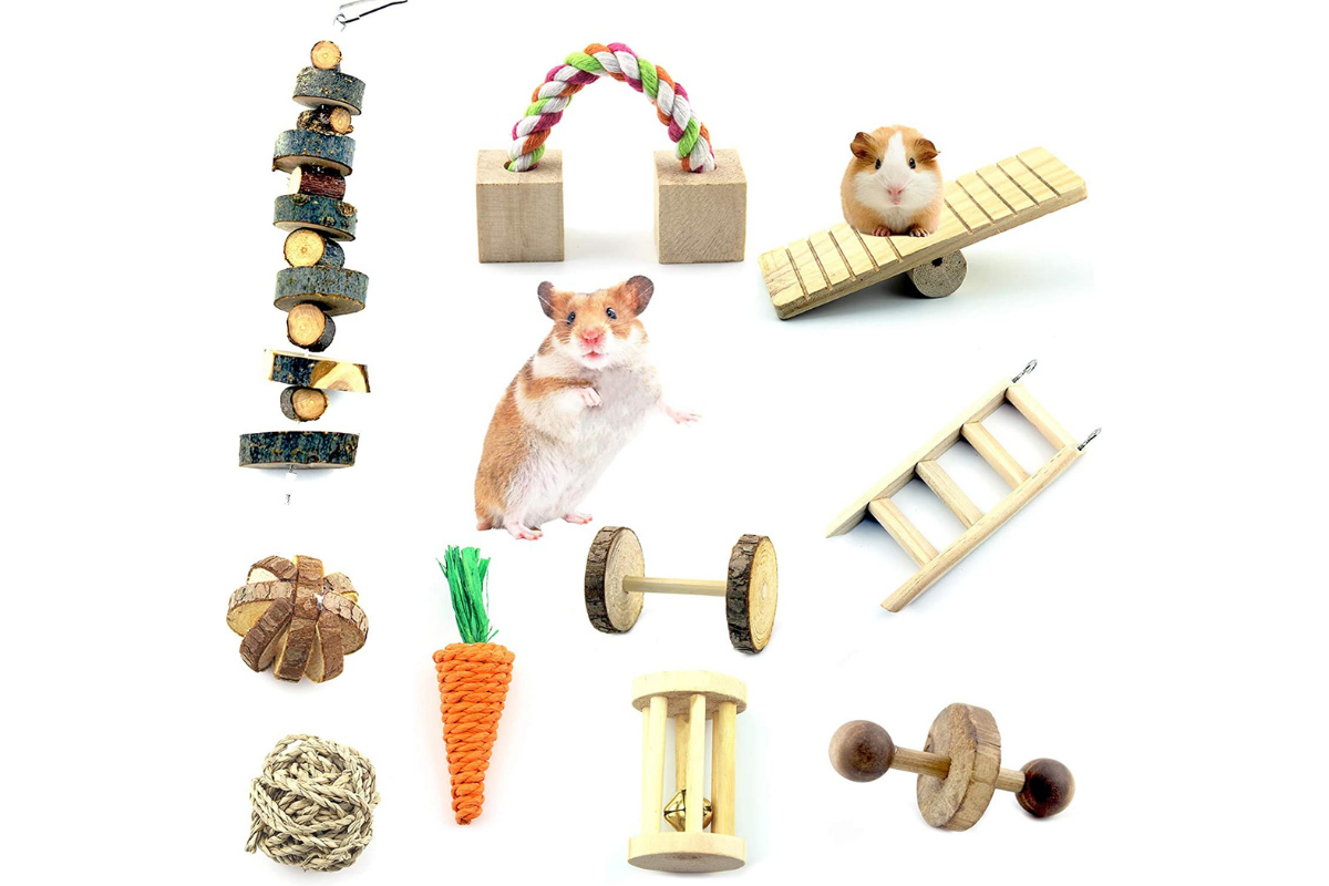 Rat Toys 5 Best of 2021 (Boredom Busters + Clean Teeth)