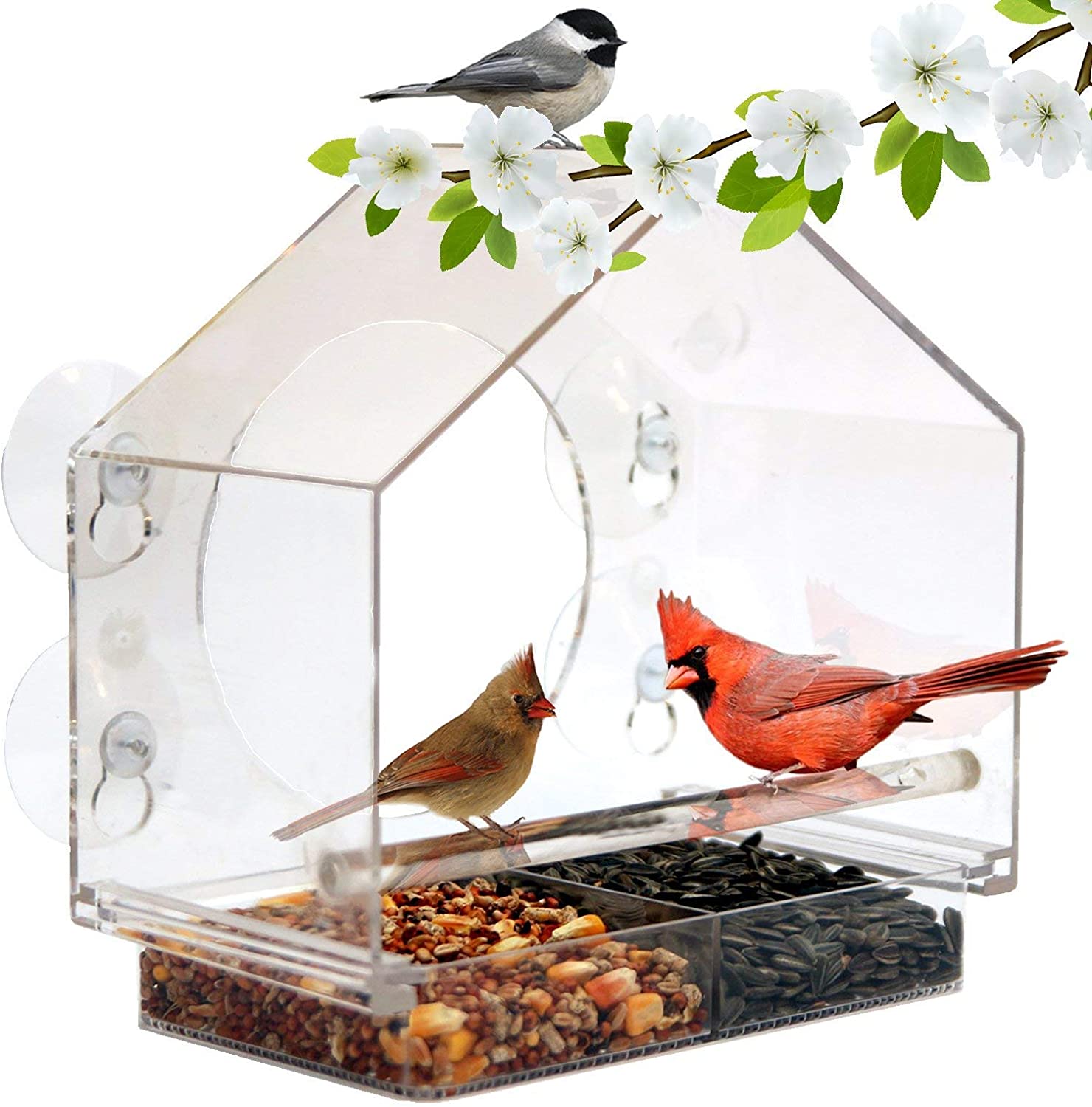 window bird feeder