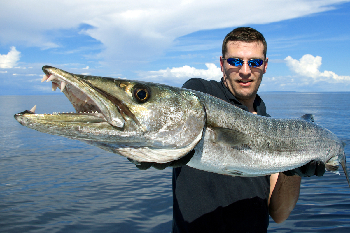 Barracuda Fishing Tips and Tactics