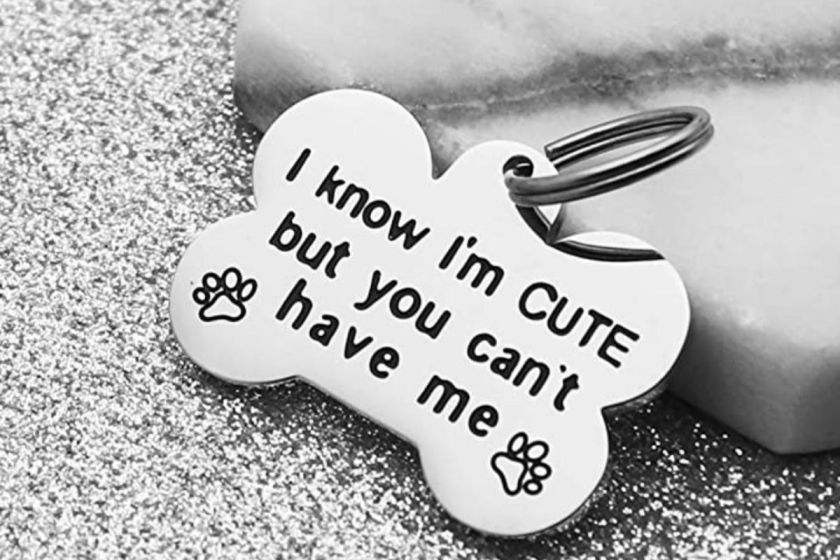Funny Dog Tags Best 5 of 2021 for Funny Dog Owners