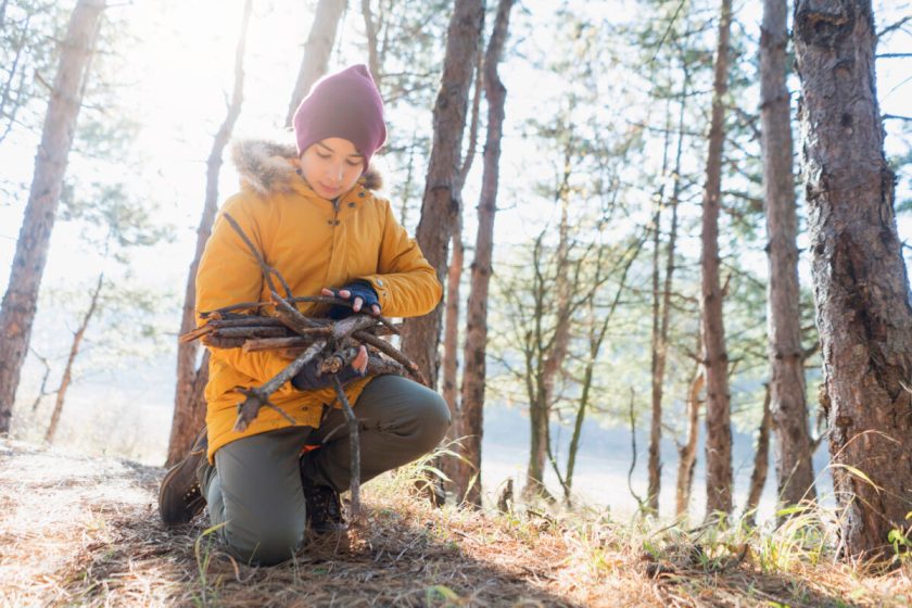 Boy preparing firewood for a bonfire while camping in the forest.