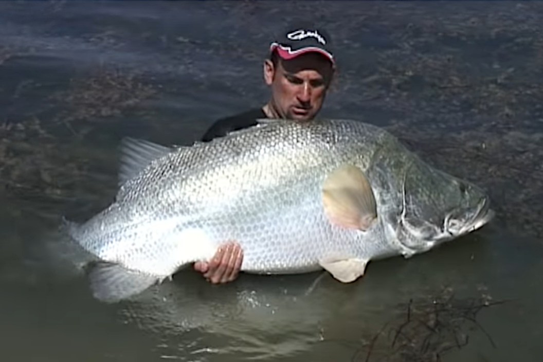 Nile Perch