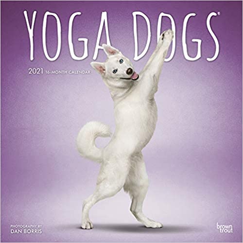 Yoga Dogs OFFICIAL 2021 12 x 12 Inch Monthly Square Wall Calendar, Animals Humor Dog (English, French and Spanish Edition) (Spanish) Calendar - Wall Calendar, July 1, 2020