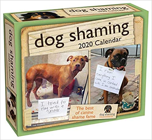 Dog Shaming 2020 Day-to-Day Calendar Calendar - Day to Day Calendar, July 2, 2020