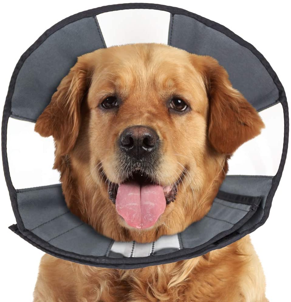  ZenPet Pet Recovery Cone E-Collar for Dogs and Cats - Always Use with Your Pet's Everyday Collar - Comfortable Soft Collar is Adjustable for a Secure and Custom Fit
