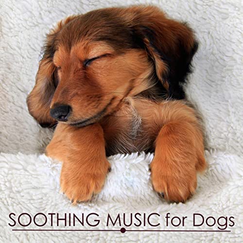 Soothing Music for Dogs - Calming and Relaxing Music for Putting a Dog to Sleep, Pet Therapy