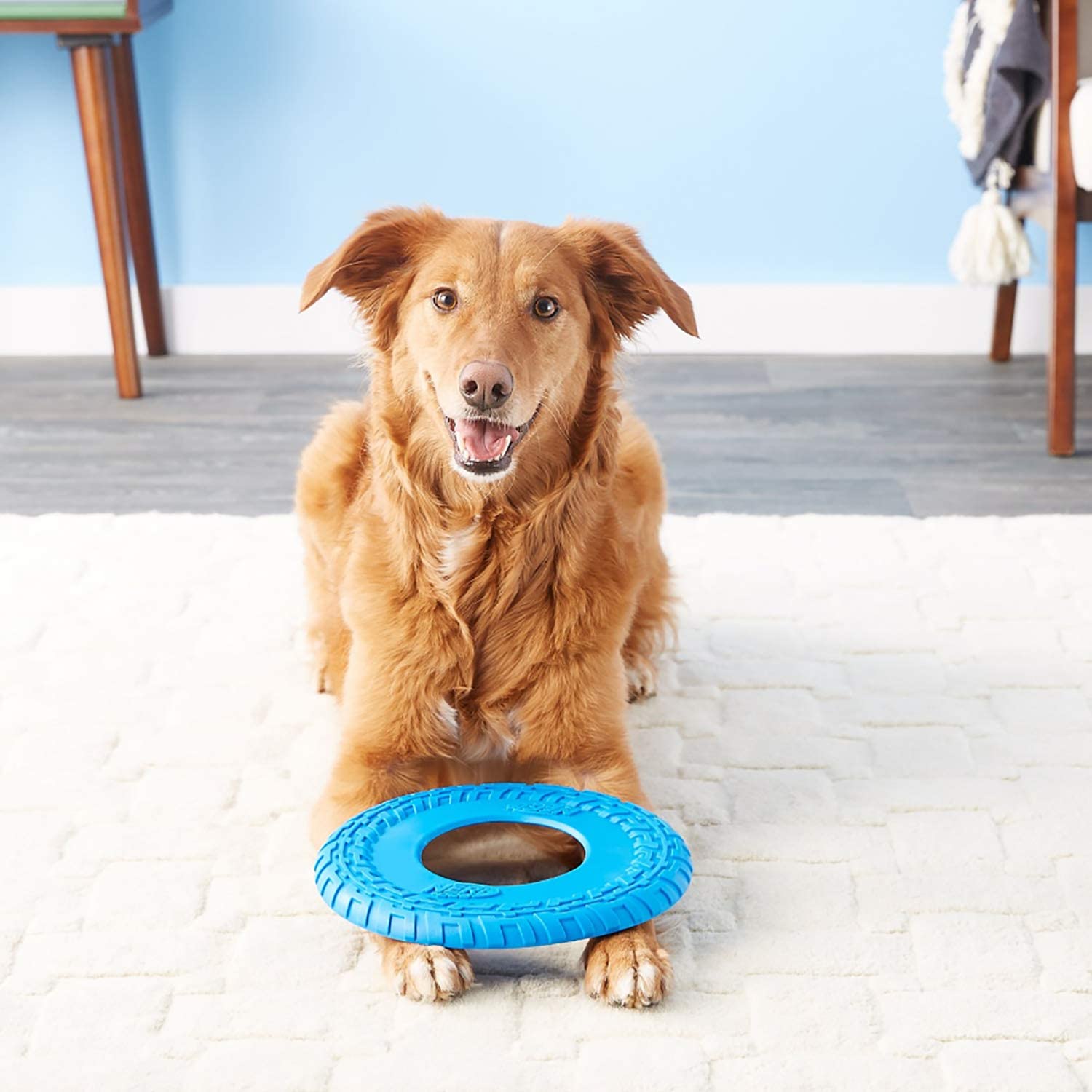 Nerf Dog Rubber Tire Flyer Dog Toy, Frisbee, Lightweight, Durable, Floats in Water, Great for Beach and Pool, 10 Inch Diameter, for Medium/Large Breeds, Single Unit, Blue