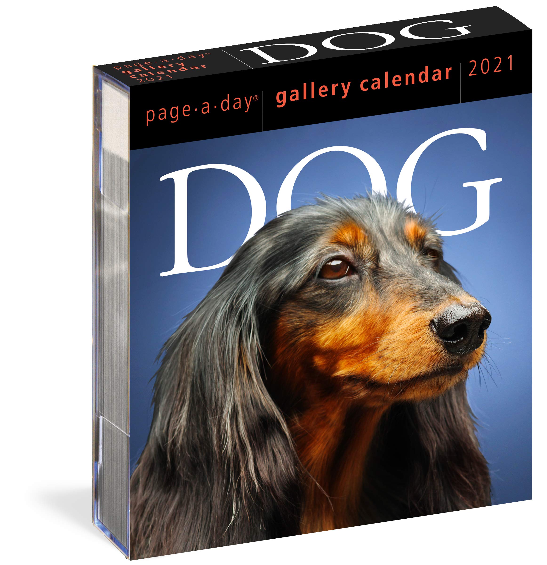 Dog Page-A-Day Gallery Calendar 2021Calendar - Day to Day Calendar, July 7, 2020