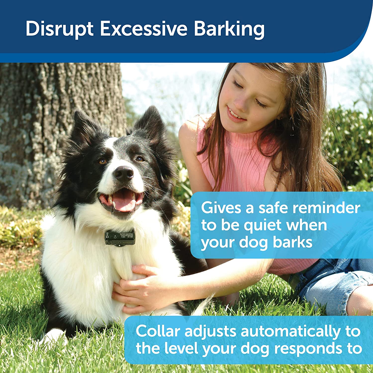 PetSafe Basic Bark Control Collar for Dogs 8 lb. and Up, Anti-Bark Training Device, Waterproof, Static Correction, Canine - Automatic Dog Training Collar to Decrease Barking