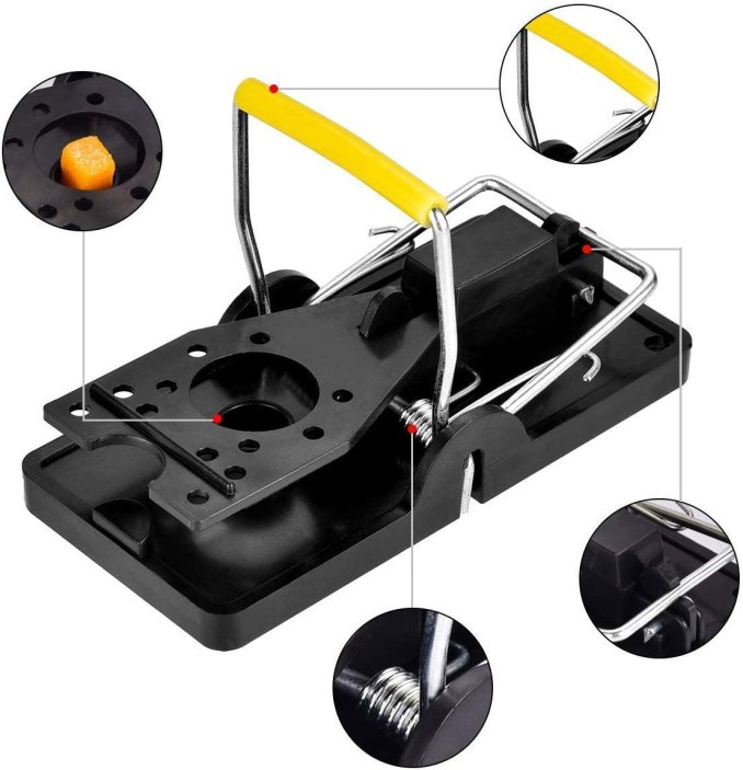 8 Best Mouse Traps of 2021 Snap, Sticky + Humane Options for Mice