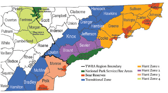 Tennessee Bear Hunting | Info, Regulations, Licenses, and More - Wide