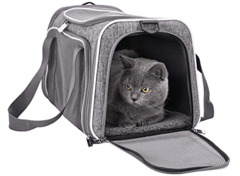 Cat carrier available on Amazon.