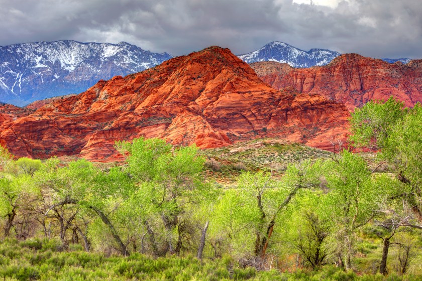 Springtime in the Red Cliffs Recreation Area near St. George, Utah. St. George is a city in and the county seat of Washington County, Utah, United States.