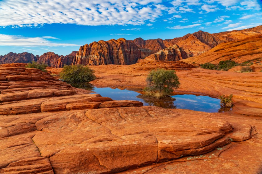 Petrified Sand Dunes, Snow Canyon State Park, Utah, USA