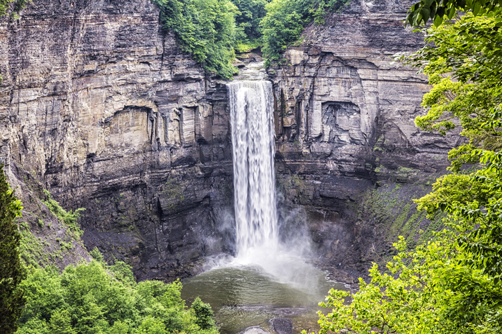 New York State Parks