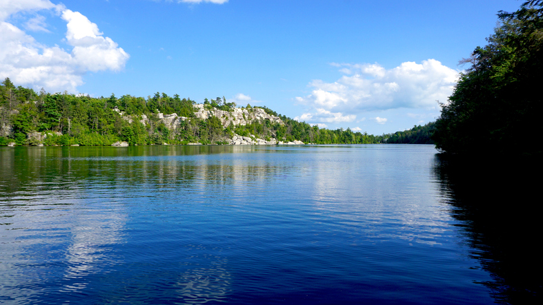 New York State Parks