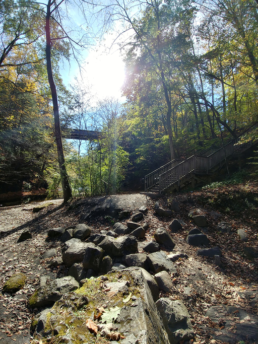 New York State Parks