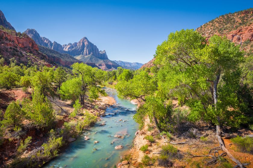 Zion National Park scenery with The Watchman peak and Virgin river in summer, Utah, USA