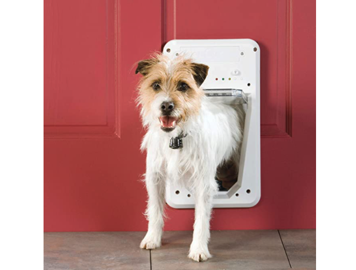 PetSafe Automatic Dog Door