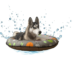 MMSPS Dog Floats for Pool